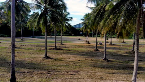 Volando-A-Través-De-Una-Plantación-De-Palmeras-De-Coco-En-El-Sudeste-Asiático