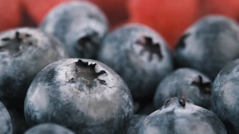 close-up of blueberries