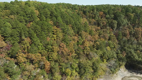 Dense-Forest-In-Colorful-Fall-Foliage-In-Arkansas,-USA