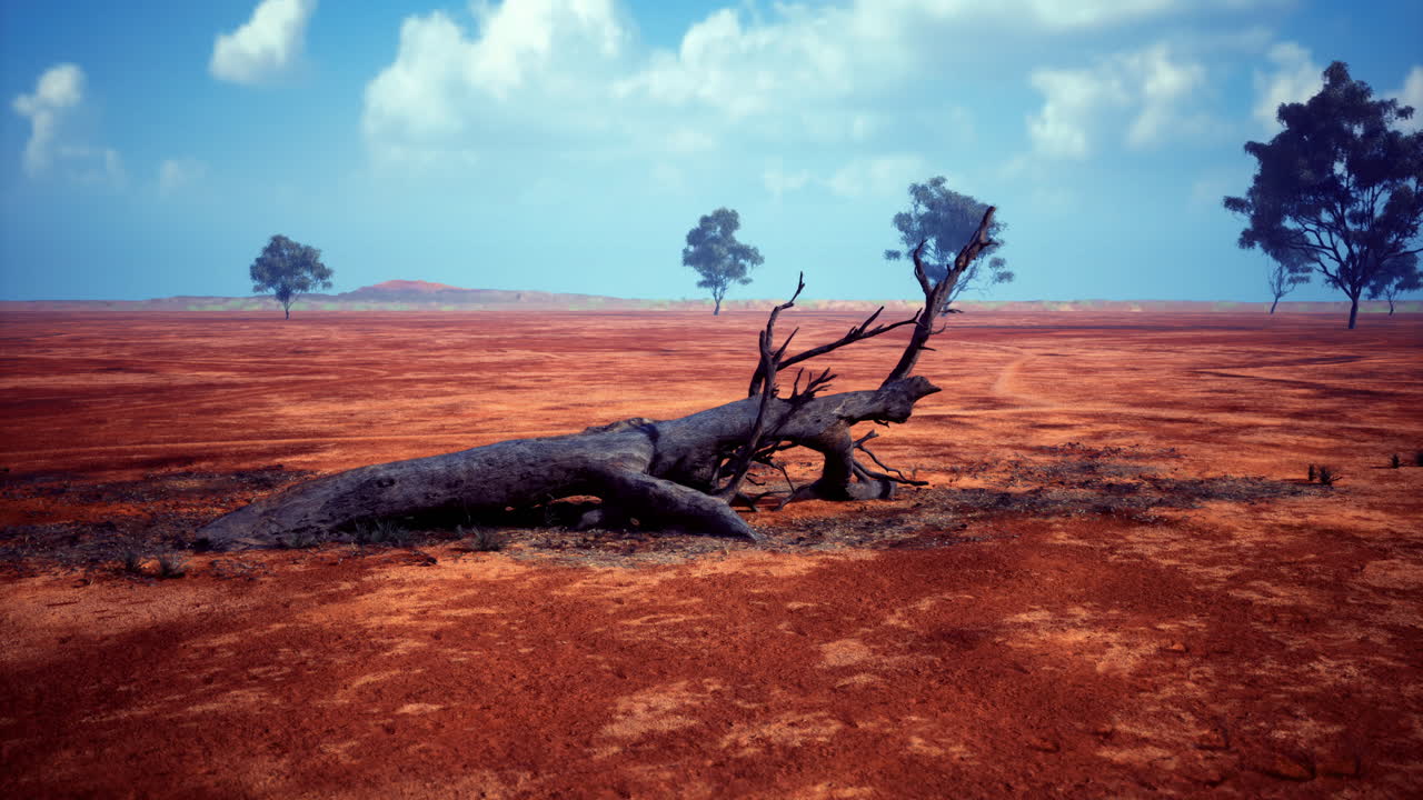 Dried tree trunk on cracked earth under a blue sky with clouds