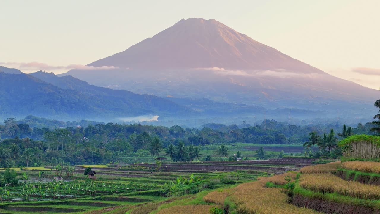 Early morning aerial footage showing rice terraces with mountain rising in the distance at sunrise, bathed in warm light. ideal for stock footage related to agriculture, landscapes, and natural beauty