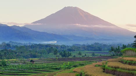 early morning aerial footage showing rice terraces with mountain rising in the distance at sunrise, bathed in warm light. ideal for stock footage related to agriculture, landscapes, and natural beauty