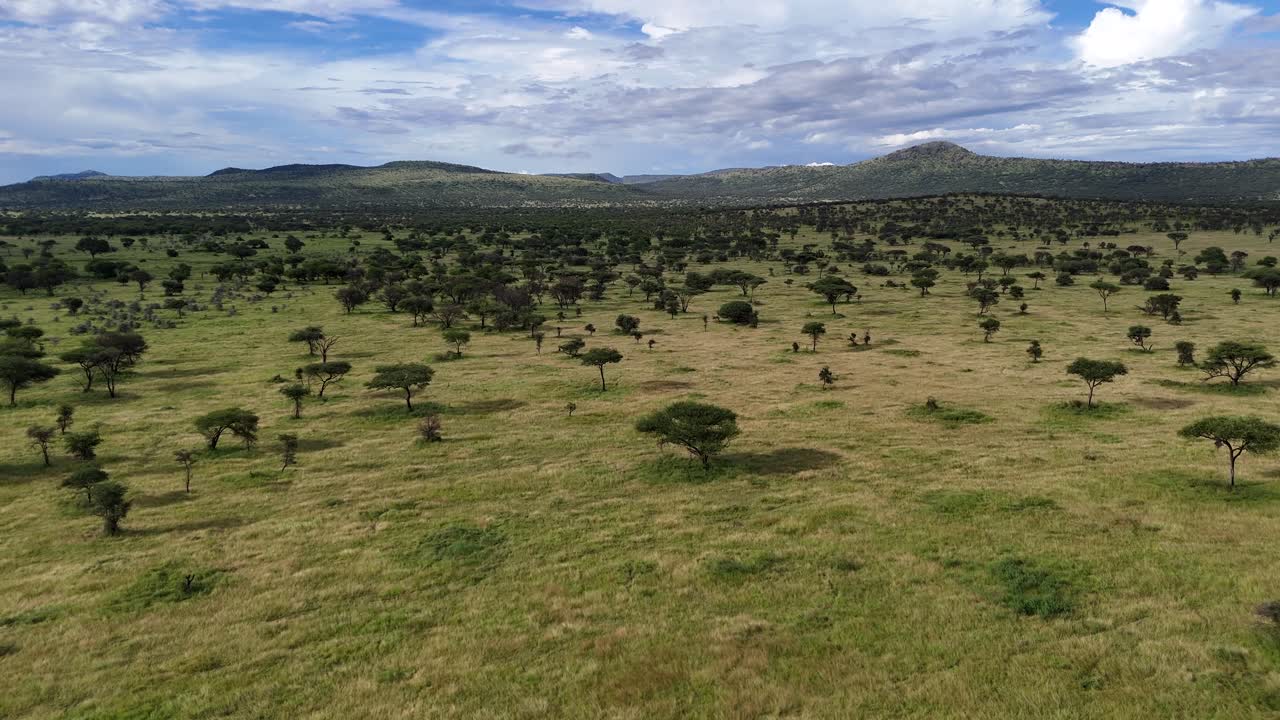 Veduta aerea del Parco Nazionale del Serengeti durante il giorno.