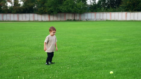 happy cheerful kid plays with a ball on the green grass. lovely baby kicks and jumps over the ball.