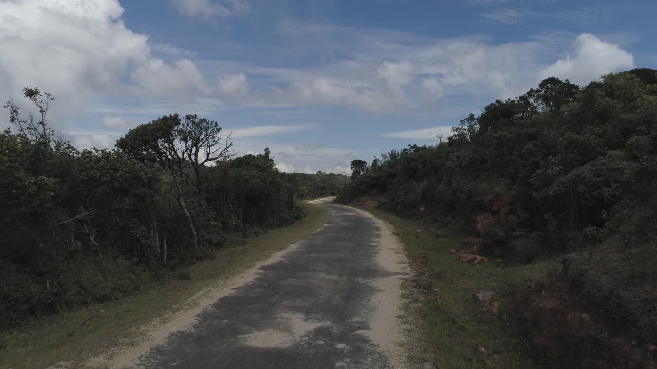 toma cinematográfica de una jungla en sri lanka