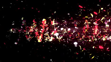 colorful petals. spiral shiny petals of blossoms. flower pattern. pretty dancing petal. vortex from spin petals. abstract loop animation.