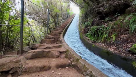 Kanalweg-Im-Wald-Mit-Treppen,-Die-Neben-Dem-Kleinen,-Starken-Strömungsbach-Nach-Oben-Führen