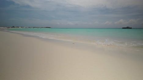 wide expanse of white sand beach meeting clear, shallow turquoise waters, cayo de agua los roques