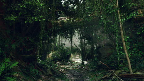 un camino a través de una selva exuberante