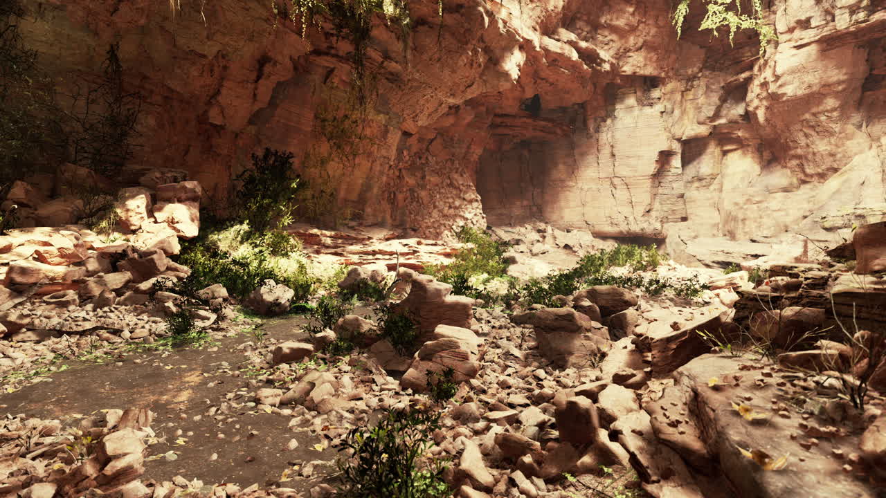vista desde el interior de una cueva oscura