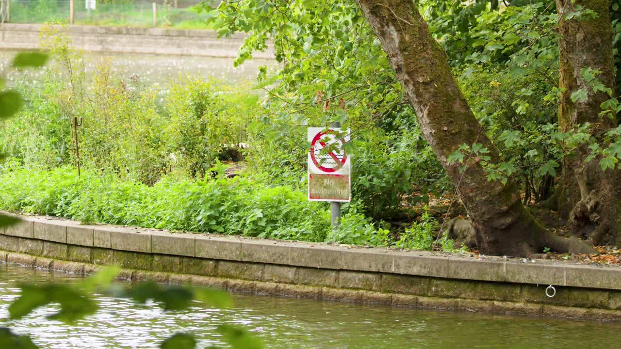 Warning sign prohibits swimming at lakeside, surrounded by lush greenery, daylight, slight camera movement