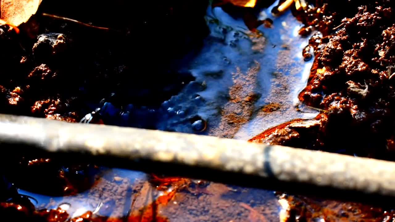 농업 식물에 물을 주는 기능의 관개 시스템