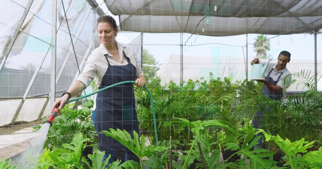 Mujer rociando con una manguera, lo que activa una superposición de cuadrícula que rastrea la salud de las plantas en un invernadero, mientras un hombre vierte de una lata.