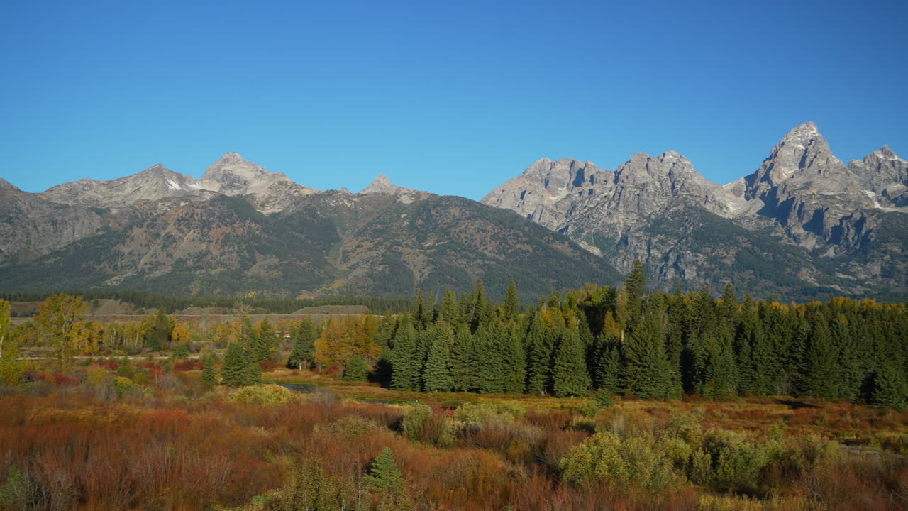 Cinematic pan right motion Grand Teton National Park entrance Blacktail Ponds Overlook wind in tall grass fall Aspen golden yellow trees Jackson Hole Wyoming mid day beautiful blue sky no snow on peak