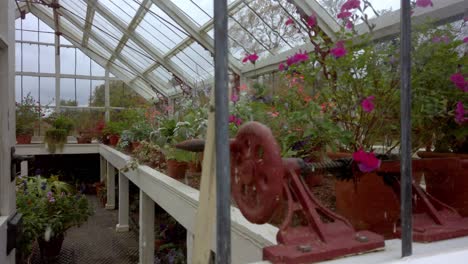 static shot looking through victorian green house lead window filled with english flowers