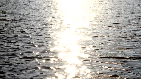 sun reflection on the golden water