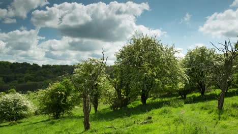 english countryside 02