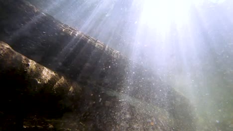 Particles swirling under water in a river