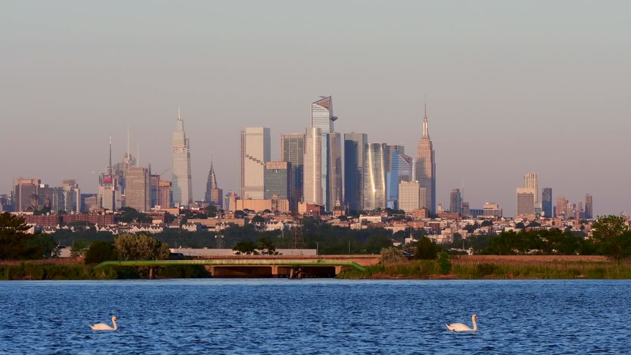 Skyline di Manhattan al crepuscolo ripreso dal parco del New Jersey, con una colomba nell'acqua in primo piano.