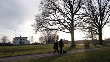 Paar-Mit-Hund-Zu-Fuß-Laufsteg-Straße-Sonnenuntergang-Schwedisch-Schweden-Stadt-Vorort-Vororte-Stadt-Leute-Nordisch-Schule-Haustierbesitzer-Silhouette-Autos-Fahren-Gebiet-Ländliche-Bewohner-Menschen-Picknick-Nachmittagsspaziergang-Park