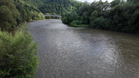 lush green riverbank with bridge in the distance