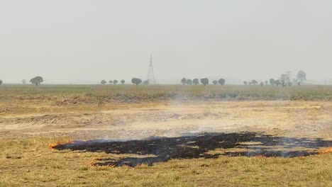 Handheld-footage-of-a-wild-grassland-wildfire-burning-short-grass