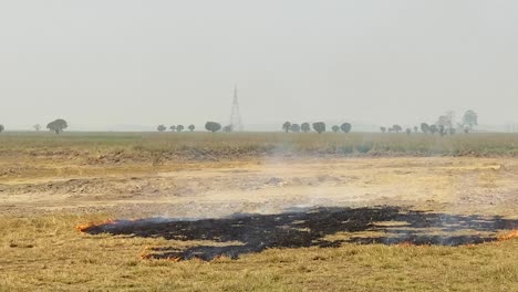 handheld footage of a wild grassland wildfire burning short grass