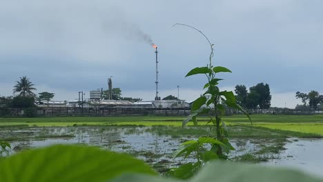 Planta-De-Campo-De-Gas-Kailashtilla-Vista-Llama-Naranja-Ardiente-En-Segundo-Plano