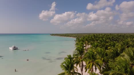 drone shot of people at the playa palmilla beach in the sunny dominican republic