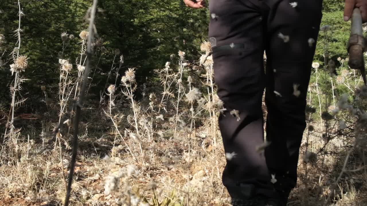 chico caminando arbusto