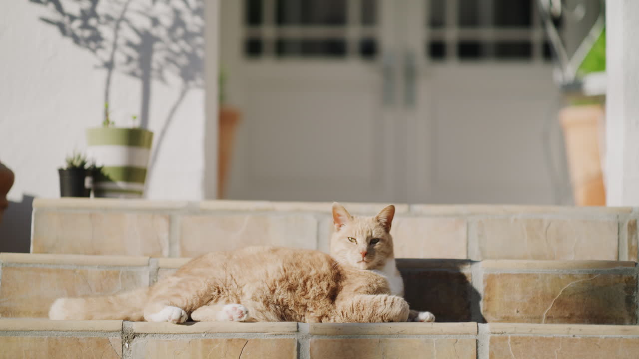 인생은 그냥 완벽해