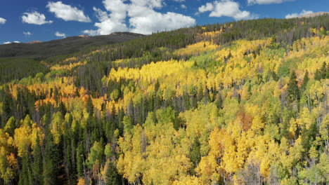 Imágenes-De-Drones-Del-Norte-De-Colorado-De-Colores-De-Otoño-En-Las-Montañas