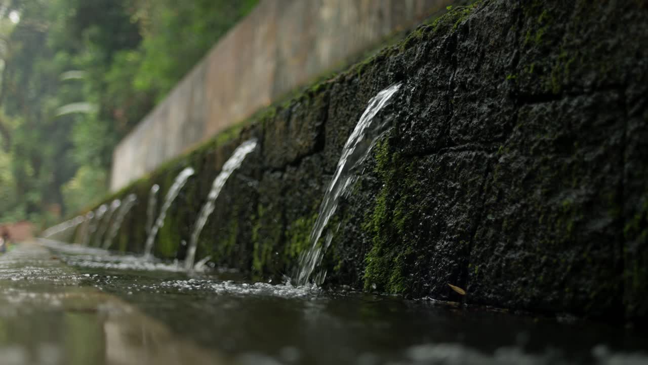 Natural springs and water features flow peacefully in Barranca del Cupatitzio, Uruapan, Michoacán