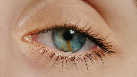 blink, blue eye and vision with macro of woman
