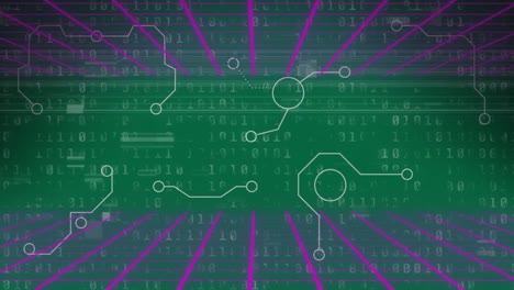 animation of binary code and integrated circuit over green background