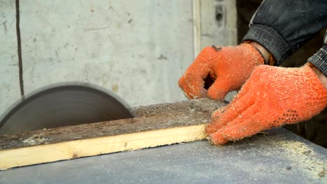 circular saw. the wizard cuts a wooden board on a circular saw. close-up.