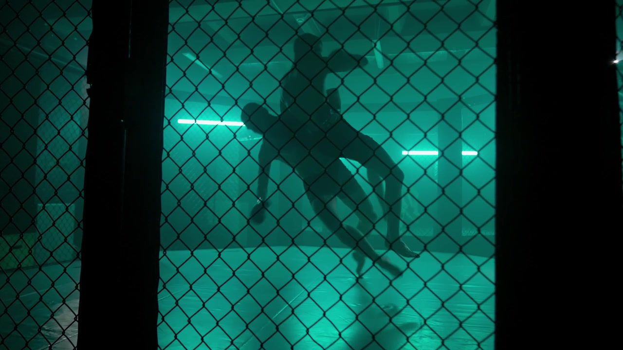 Silhouetten van twee vechters die worstelen in een groen verlichte MMA-kooi