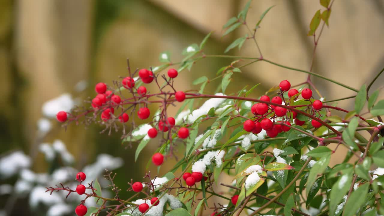 겨울에 눈 인 가디아그레레의 거리, 아브루초, 이탈리아
