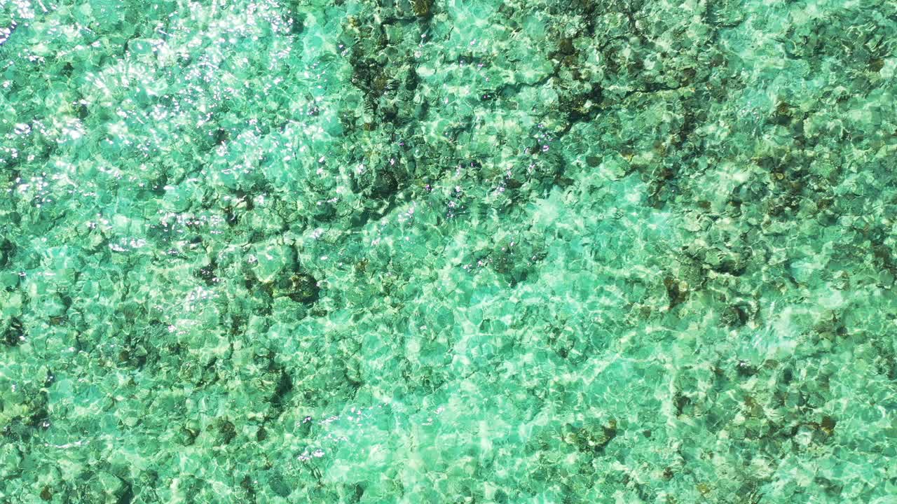 Beautiful sea bottom texture with rocks and corals over white sand seen through crystal emerald water reflecting sunlight, copy space