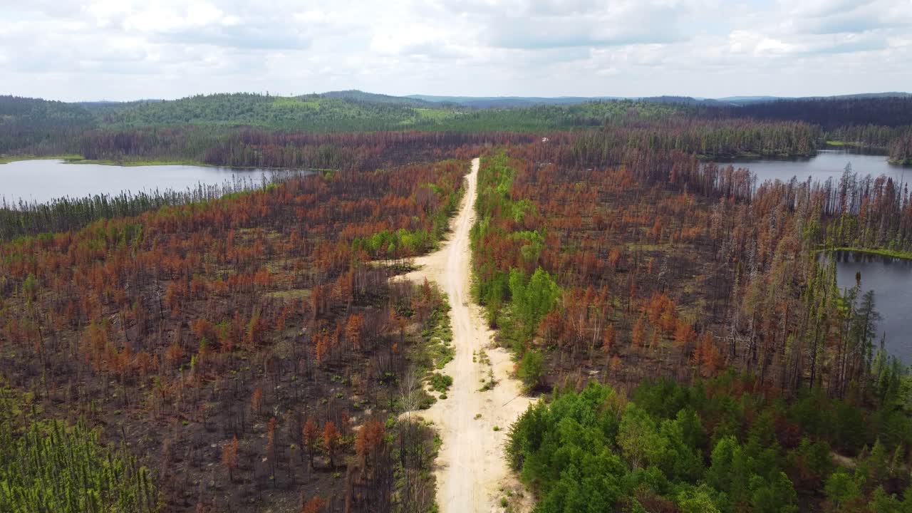 Slow Aerial Forward Shot Showing Devastation Caused By Canadian Wildfires Near Lebel-sur-Qu&eacute;villon, Quebec