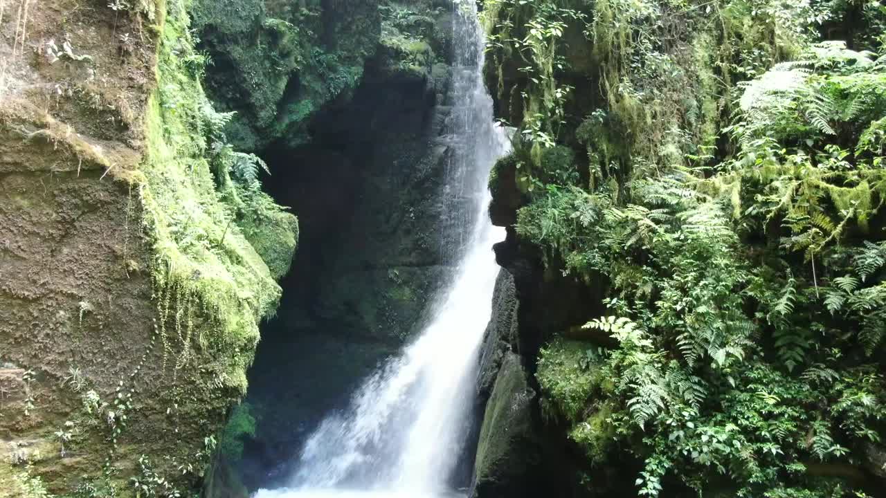belleza cautivadora de una cascada en la selva, día soleado