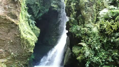 Belleza-Cautivadora-De-Una-Cascada-En-La-Selva,-Día-Soleado