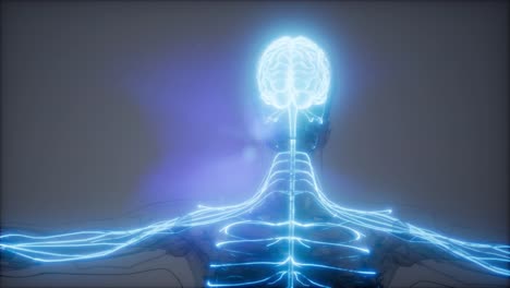 examen de radiología del cerebro humano
