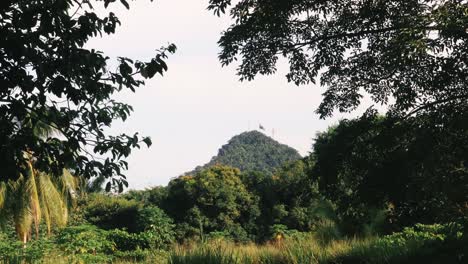 Ancon-Hill-in-Panama-City-viewed-from-far-away-between-a-dense-leafy-forest-vegetation-displaying-a-diverse-species-of-flora-and-fauna-inhabiting-this-place-in-the-middle-of-an-urban-area