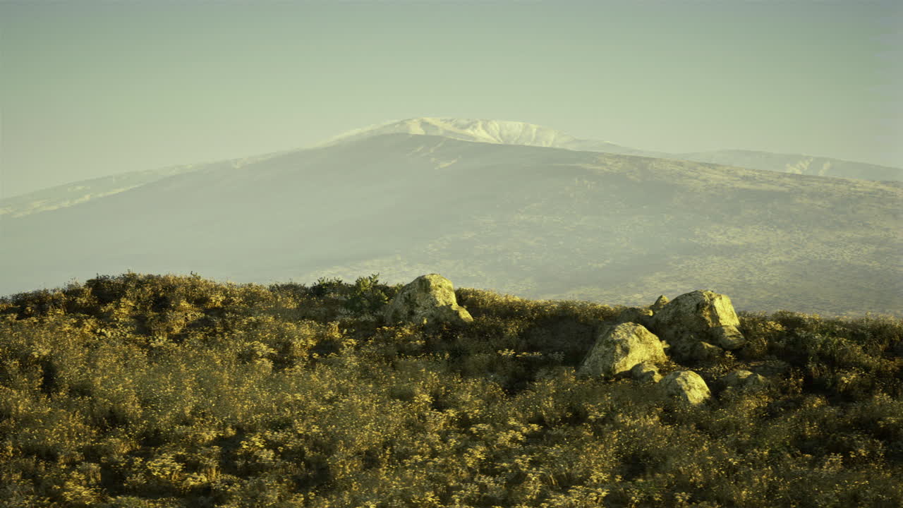 Prateria serena che mostra piante rade e un paesaggio montano sfumato.
