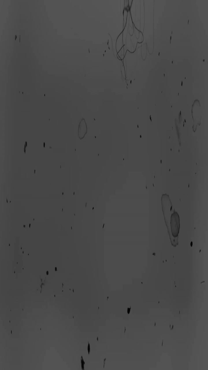 Vintage Film Grain Overlay with Scratches and Dust