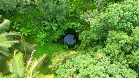a well built of stone in middle of greenery trees in forest closeup to wide bird eye view