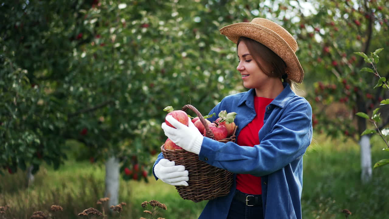 Satisfied female farmer is holding a full basket of ripe apples. Woman in straw hat is happy about the harvest, she looks at apple smiling and tosses it in the air.