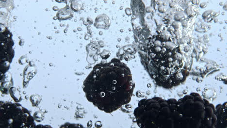 closeup bramble bubbling liquid with drops. ripe berries falling into water