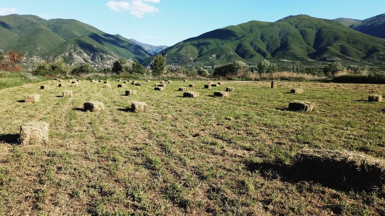 con balas de heno para piensos para animales
